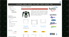 Desktop Screenshot of bursaotoradyator.com